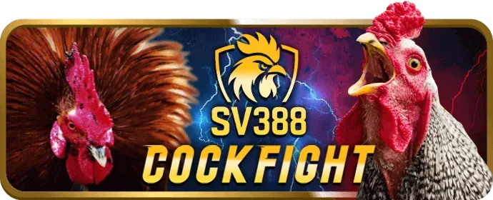 Cá cược thể thao W66